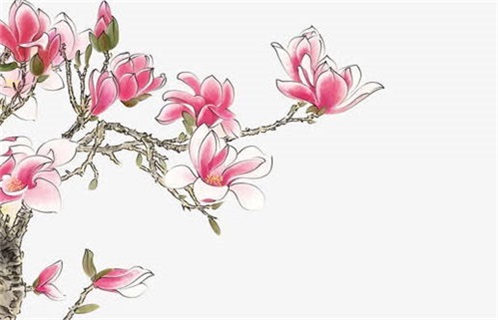 2026年05月25日动土黄道吉日 今日动土建房好不好