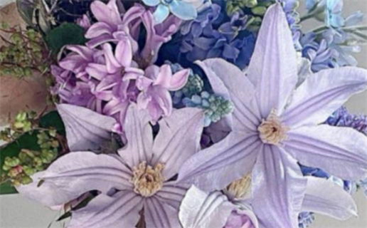 2027年11月11日结婚好吗 宜办婚礼吉日查询 2027年11月11日结婚好吗 宜办婚礼吉日查询