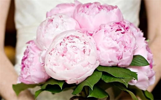 2027年11月17日结婚日子如何 今日办喜事好吗 2027年11月17日结婚日子如何 今日办喜事好吗