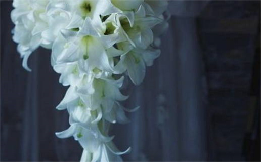 2027年01月03日结婚日子如何 办婚礼吉利吗 2027年01月03日结婚日子如何 办婚礼吉利吗