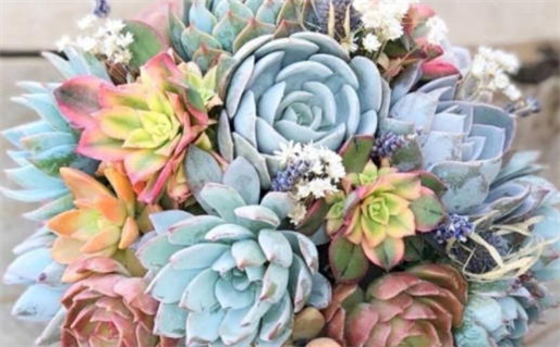 2028年02月17日结婚好吗 是办喜事好日子吗