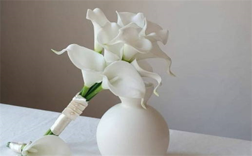 2026年02月26日领证好吗 今日领证好不好