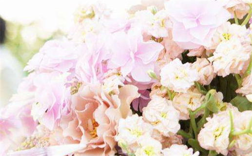 2026年农历十月初八领证好吗 是领证结婚好日子吗