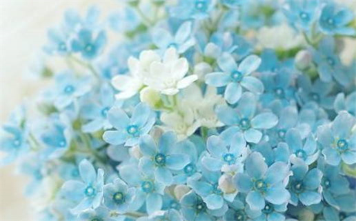 2026年09月01日领证好不好 领证吉利吗