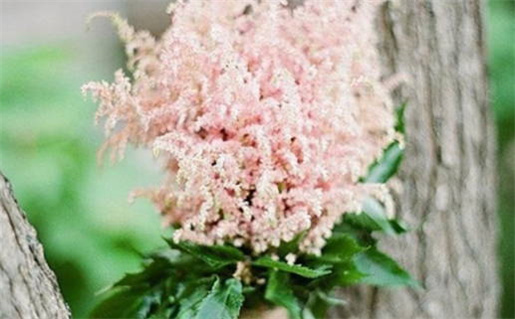 2026年农历七月初十领证黄道吉日 是领证结婚好日子吗