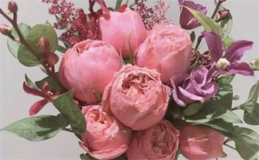 2026年08月01日是不是领证吉日 是领证好日子吗 2026年08月01日是不是领证吉日 是领证好日子吗