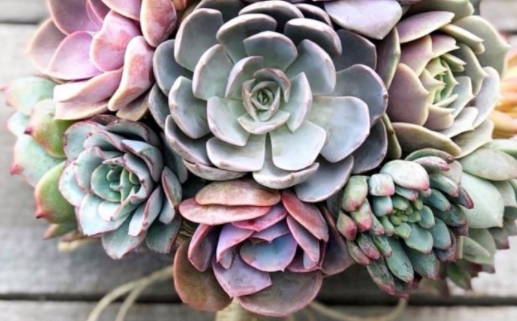 2026年农历六月初八领证吉日查询 登记结婚吉利吗 2026年农历六月初八领证吉日查询 登记结婚吉利吗