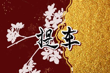 2025年10月15日提车好吗 提车吉利吗