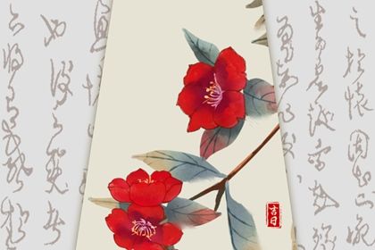 2027年02月26日提车好不好 今日提车好吗