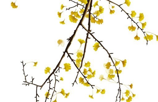 2026年农历九月初十装修好不好 今日装潢房子好吗