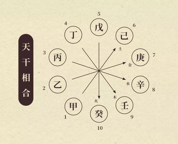 八字三库什么意思