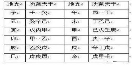 丁酉癸丑丙辰癸巳八字(丁酉癸卯丙辰丙申)