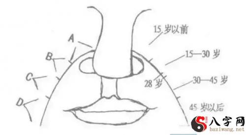 面相丨这些面相特征，官相自成