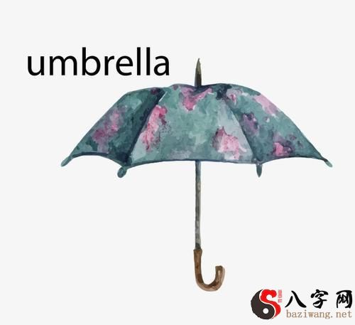 梦见花雨伞