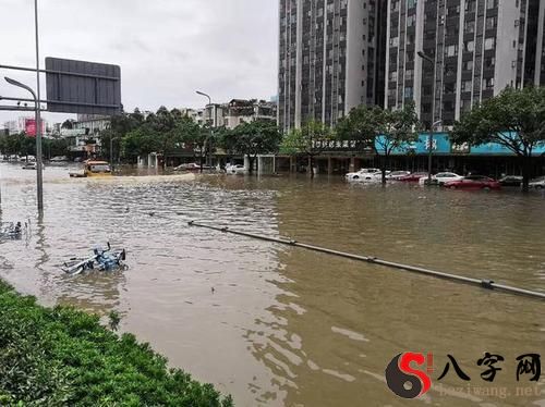 梦见下雨打架