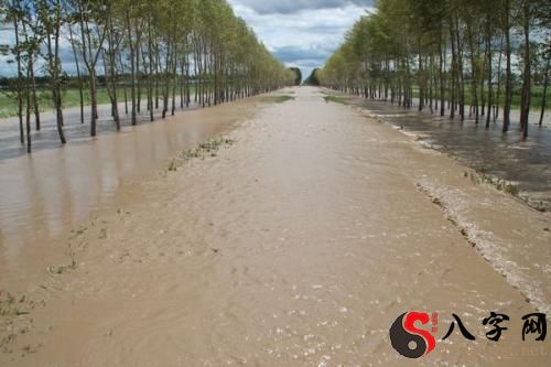 梦见道路发大水