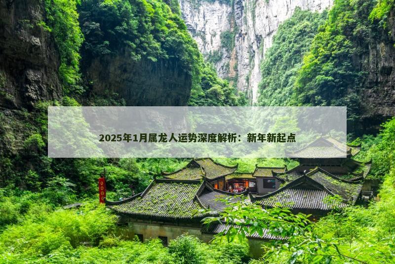 2025年1月属龙人运势深度解析：新年新起点