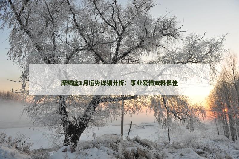 摩羯座1月运势详细分析：事业爱情双料俱佳