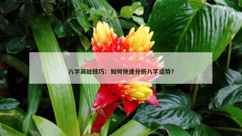 八字简批技巧：如何快速分析八字运势？