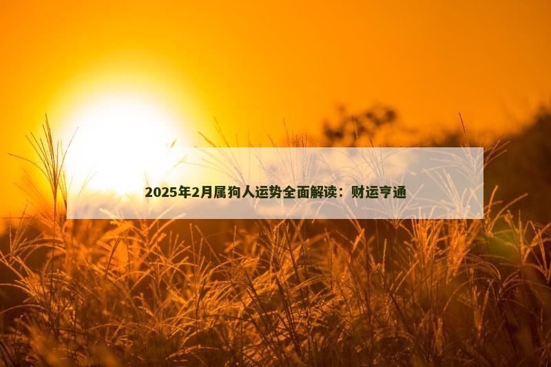 2025年2月属狗人运势全面解读：财运亨通