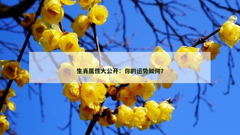 生肖属性大公开：你的运势如何？