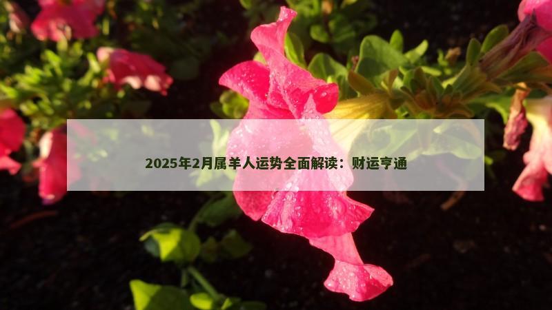 2025年2月属羊人运势全面解读：财运亨通