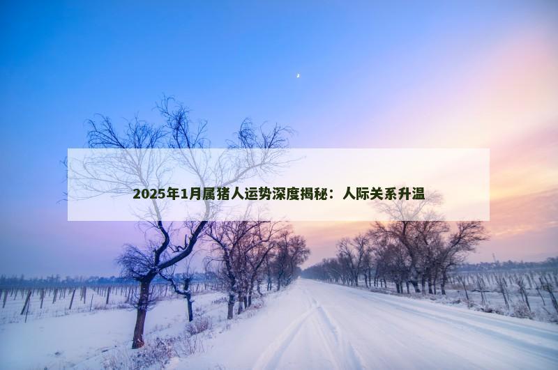 2025年1月属猪人运势深度揭秘：人际关系升温