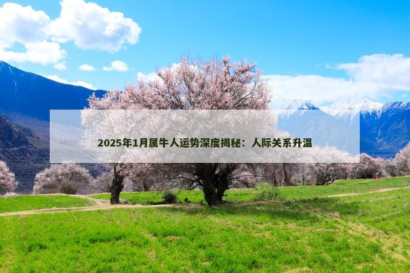 2025年1月属牛人运势深度揭秘：人际关系升温