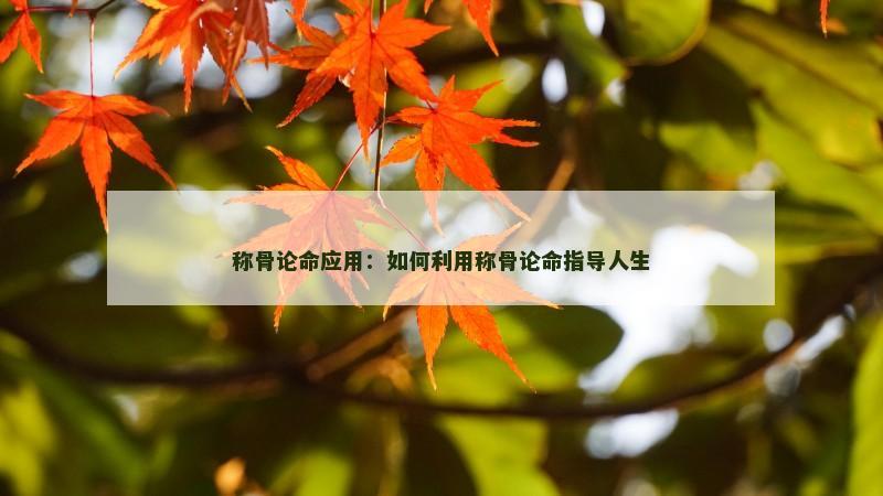 八字命格财富船(八字的财富层次决定人生财富程度)