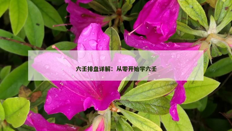 六壬排盘详解：从零开始学六壬