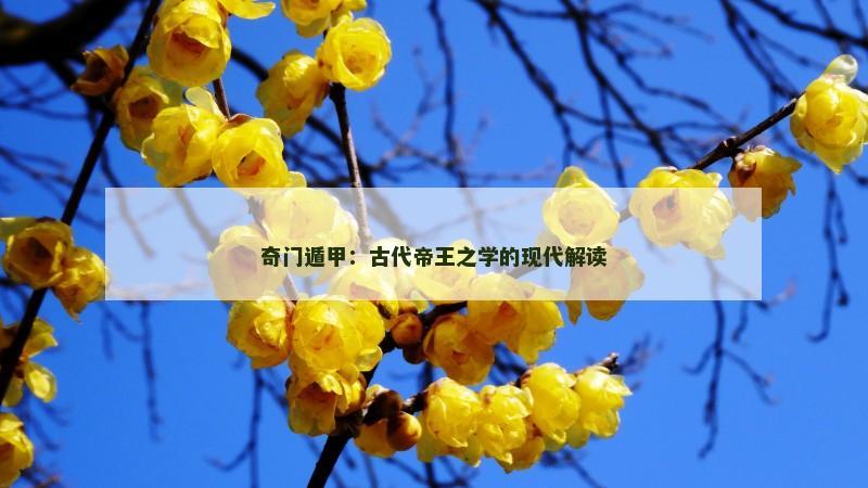 奇门遁甲：古代帝王之学的现代解读