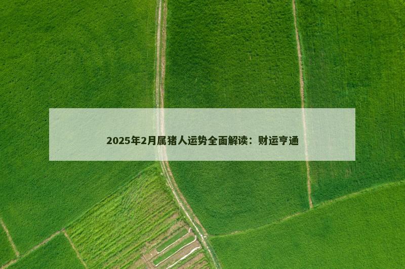 2025年2月属猪人运势全面解读：财运亨通