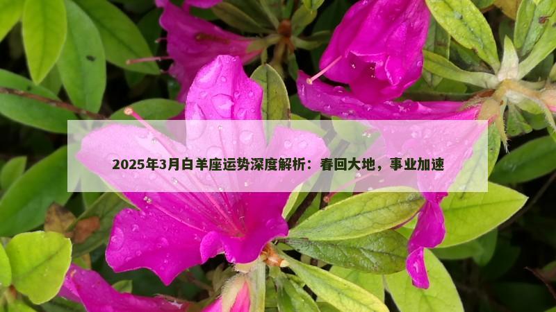 2025年3月白羊座运势深度解析：春回大地，事业加速