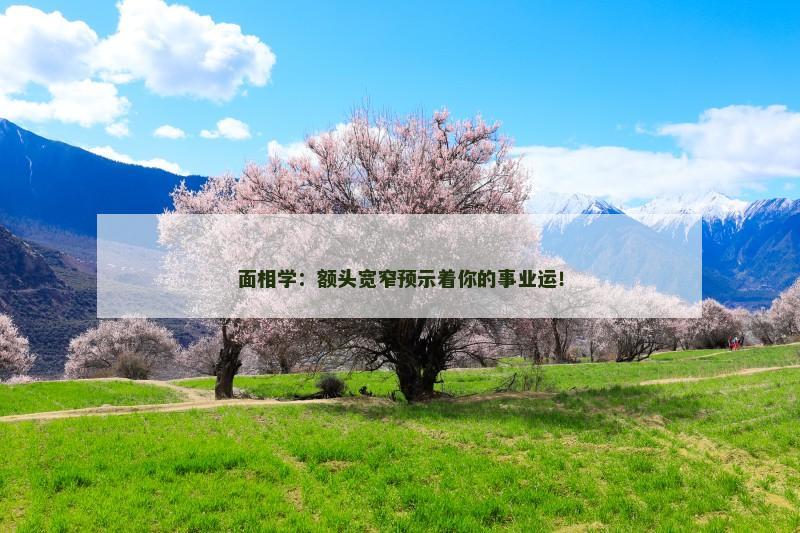 面相学:额头宽窄预示着你的事业运!
