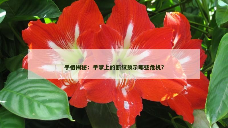 手相揭秘:手掌上的断纹预示哪些危机?