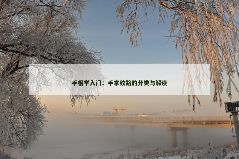 手相学入门:手掌纹路的分类与解读