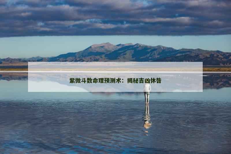 紫微斗数命理预测术:揭秘吉凶休咎