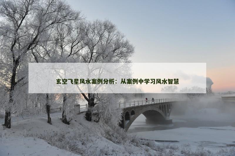 玄空飞星风水案例分析：从案例中学习风水智慧