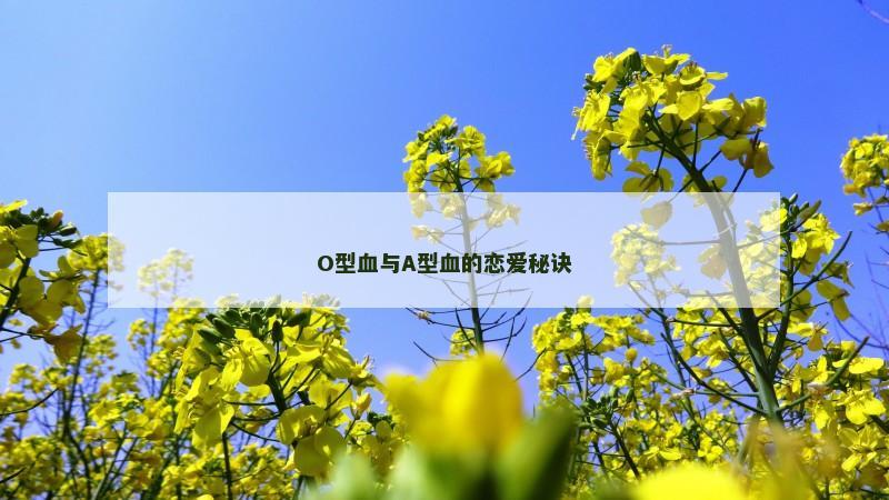 O型血与A型血的恋爱秘诀