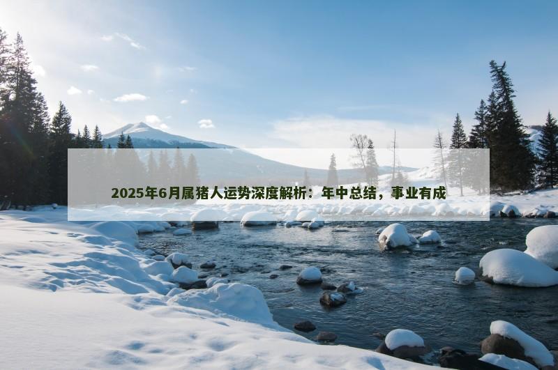 2025年6月属猪人运势深度解析：年中总结，事业有成