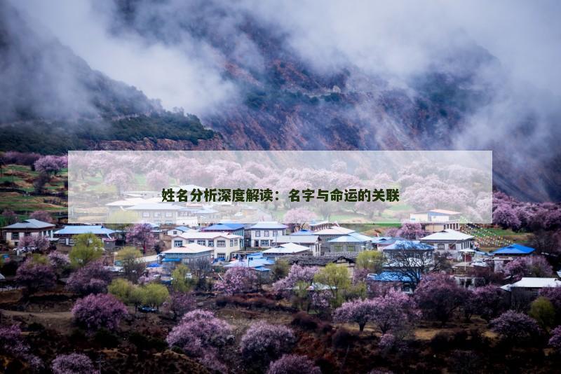 姓名分析深度解读：名字与命运的关联