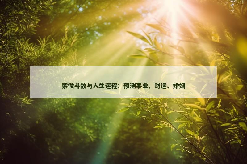 紫微斗数与人生运程:预测事业、财运、婚姻