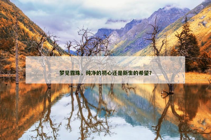 梦见露珠,纯净的初心还是新生的希望?