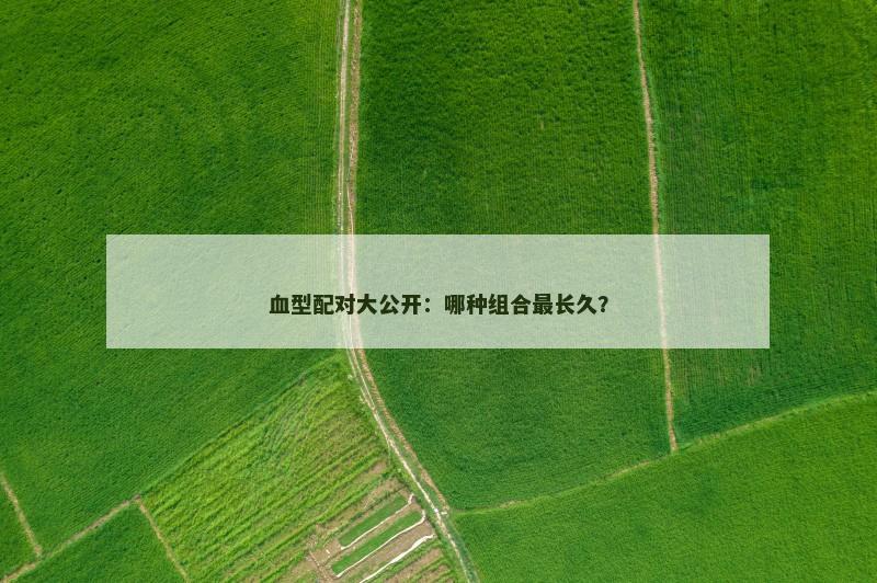 血型配对大公开：哪种组合最长久？