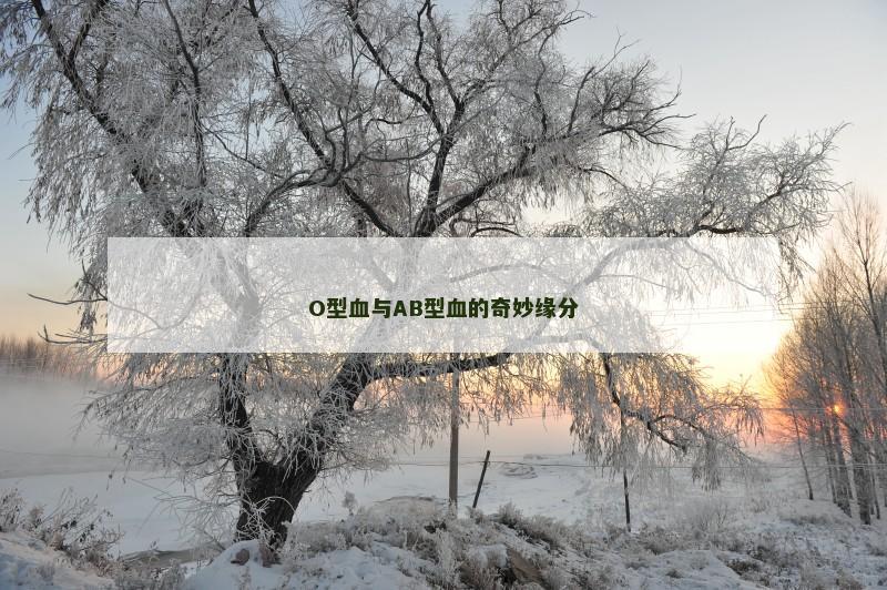 O型血与AB型血的奇妙缘分