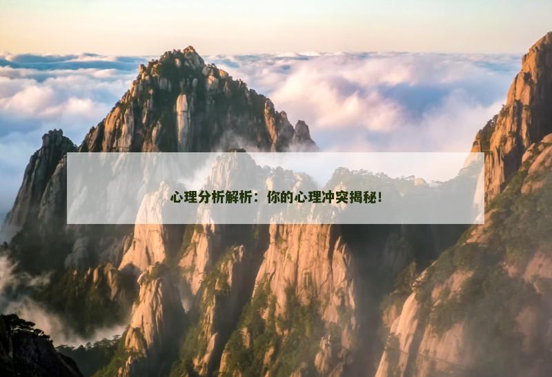 心理分析解析:你的心理冲突揭秘!