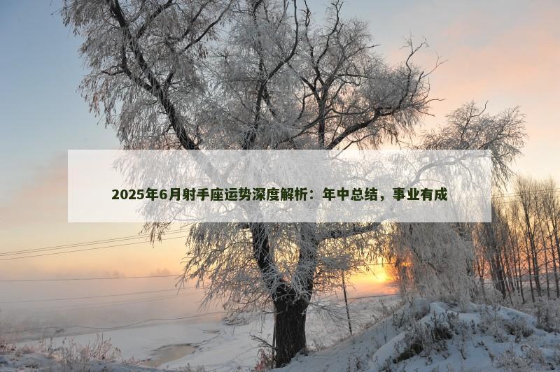 2025年6月射手座运势深度解析:年中总结,事业有成