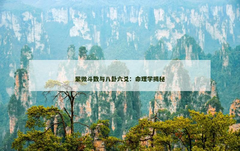 紫微斗数与八卦六爻：命理学揭秘