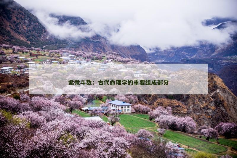 紫微斗数：古代命理学的重要组成部分