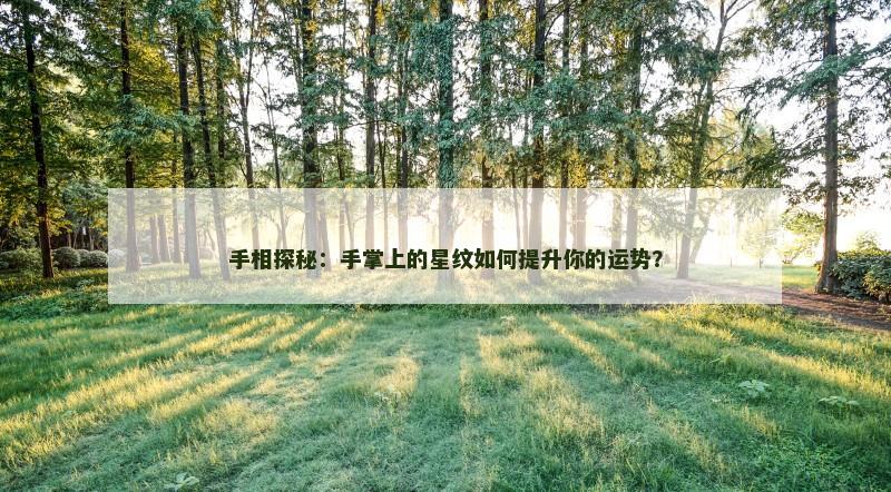 手相探秘:手掌上的星纹如何提升你的运势?